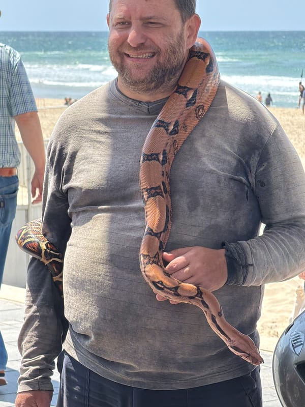 Costumed outdoor gathering with dancing in Tel Aviv
