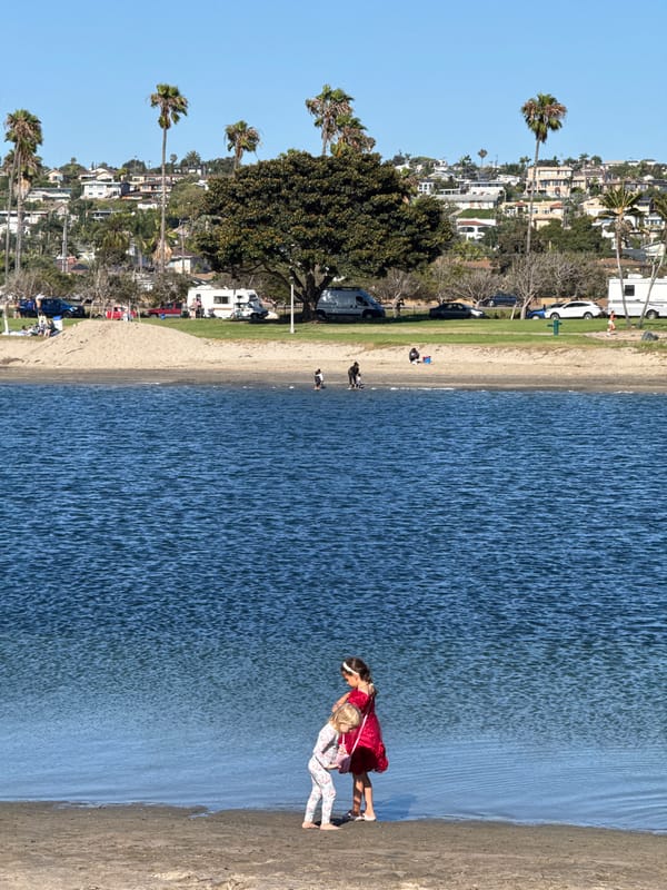 Sun, palms, and a hydrofoil on the San Diego waterfront
