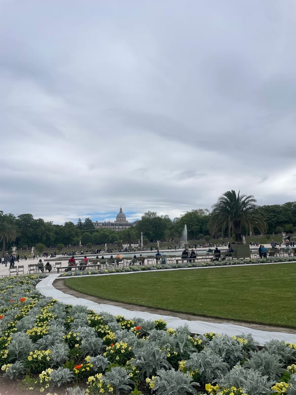 Spring blooms observed across Paris's Luxembourg and Tuileries gardens