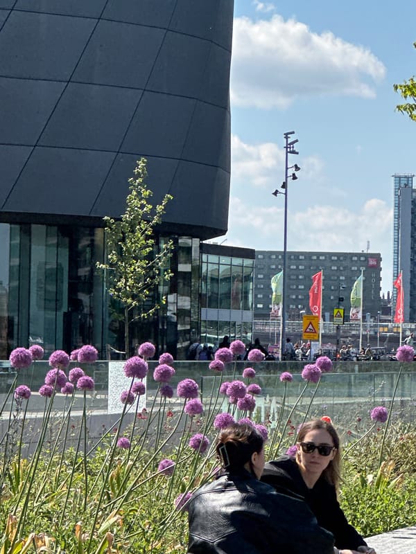 Amsterdam residents document ordinary Saturday morning moments across city