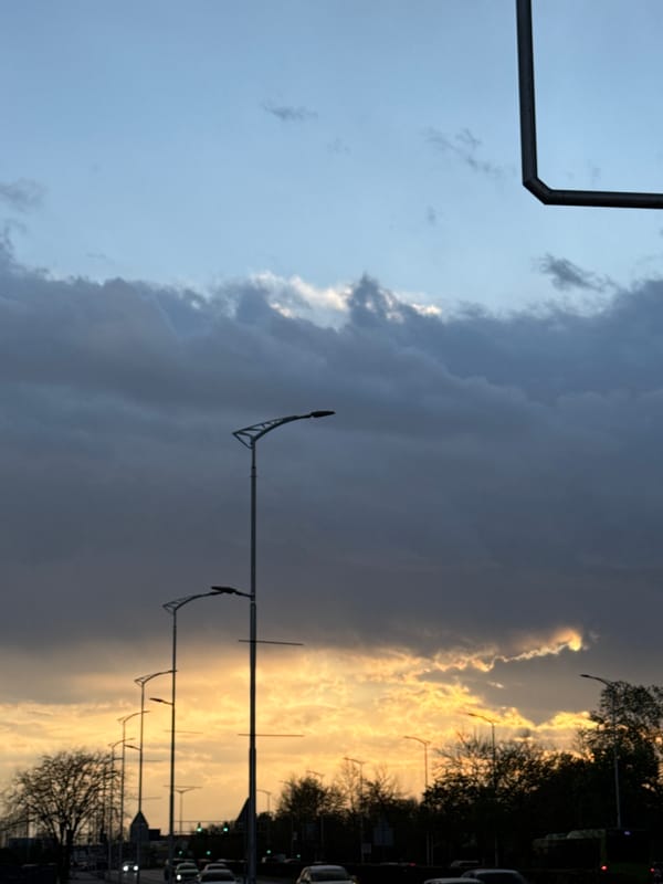 Golden hour street scene captured in unidentified city