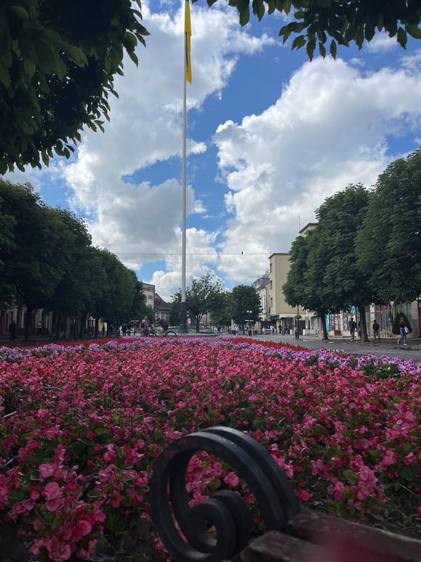 Afternoon stroll documented through Mukachevo's pedestrian squares and gardens
