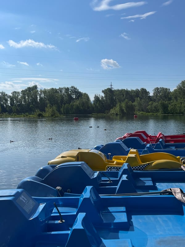 Krasnoyarsk riverfront: pedal boats, public art, sunny day