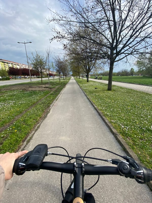 Cyclist rides through blooming park pathway in Novi Sad