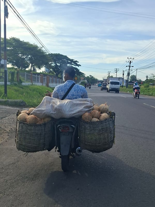 Man transports coconuts by moped in Lhokseumawe, Indonesia
