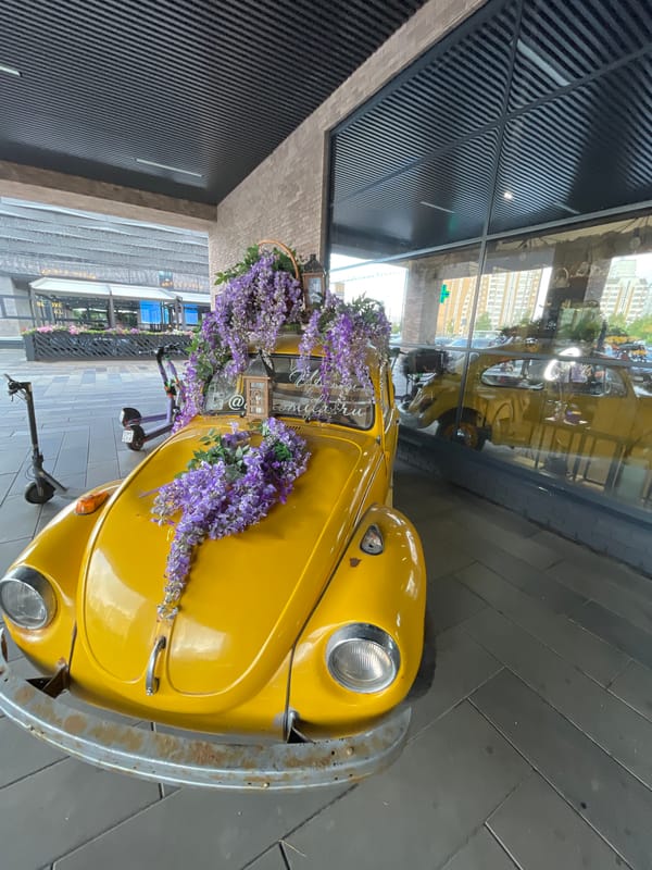 Moscow street life: decorated Beetle, dogs, churches, markets, café cakes