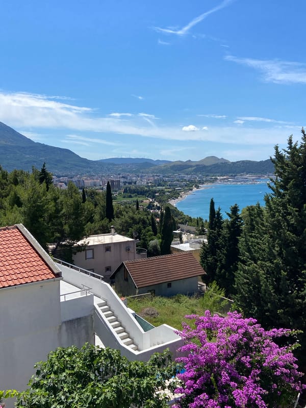 Morning coffee and pets captured in coastal Montenegro town