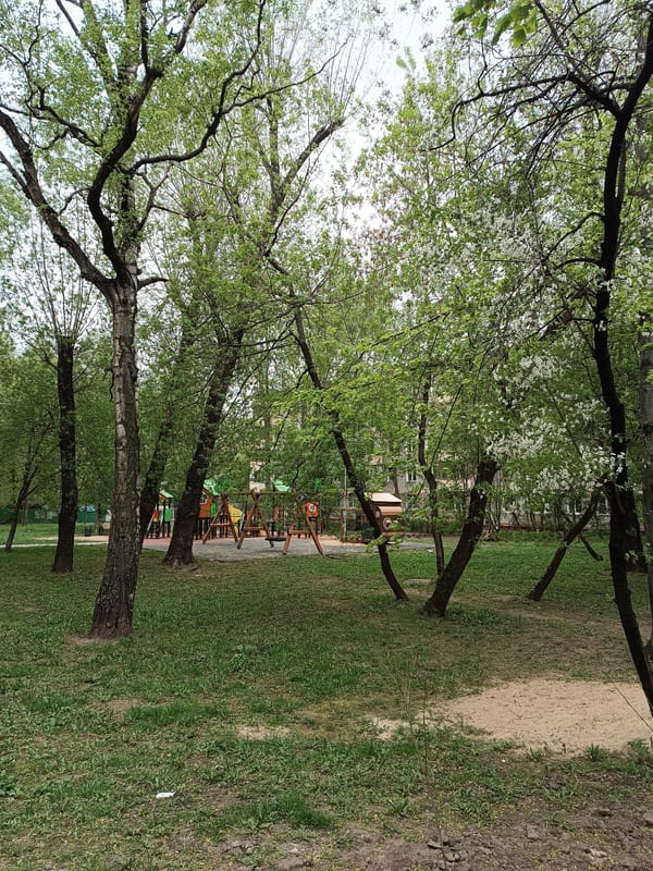 Moscow residential park area documented by witness