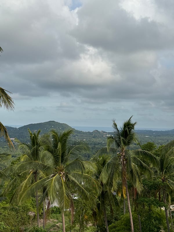 Hilltop panorama over Ban Tai's palms and coastline