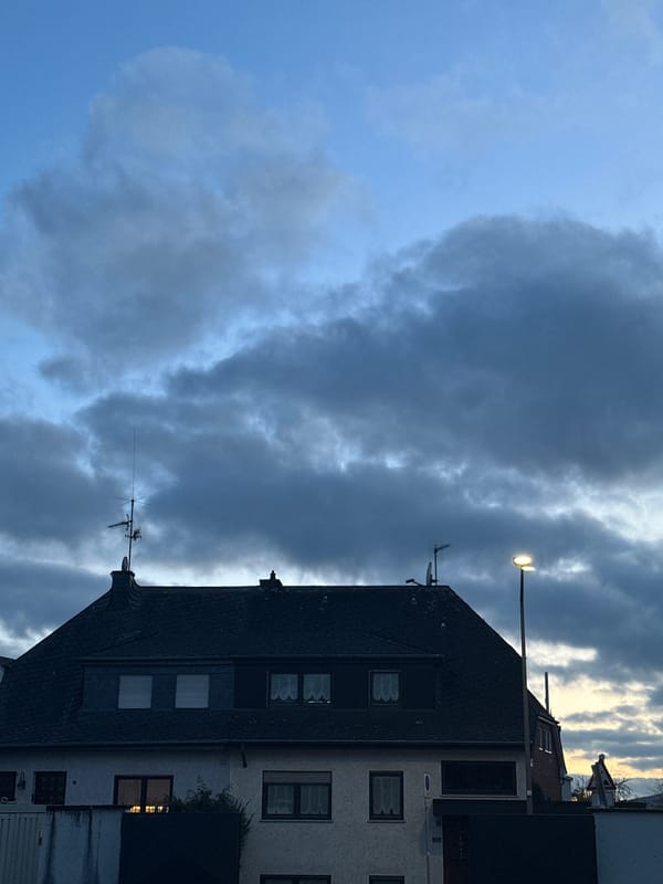Evening cooking session documented in Trier, Germany
