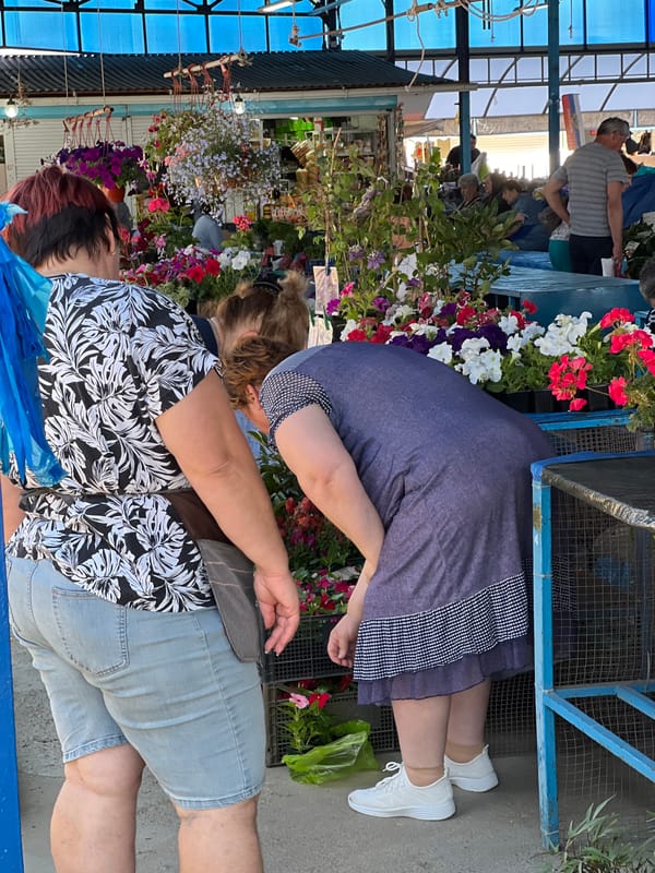 Morning market activity bustles across Krasnodar, Russia