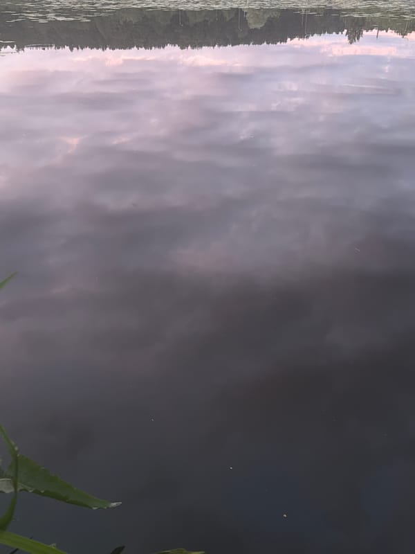 Peaceful evening fishing session on lily-padded Riga lake