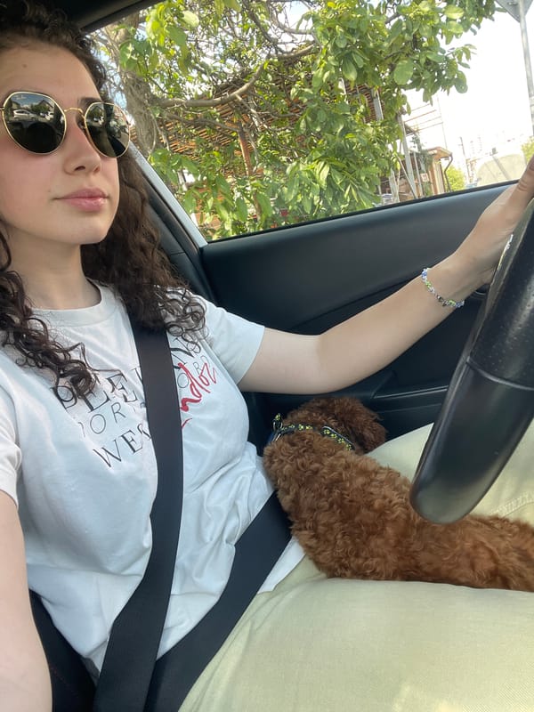 Woman and poodle spotted in car in Sofia