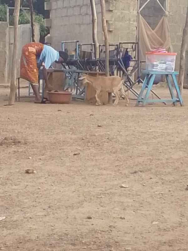 Morning daily life scenes captured in Tamale, Ghana