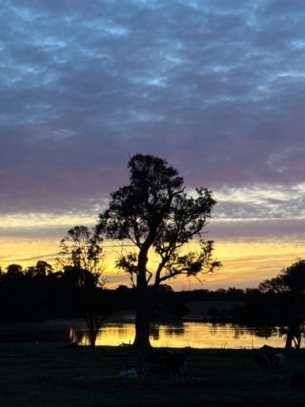 Rural sunset sky, vivid and wide, over fields and treelines