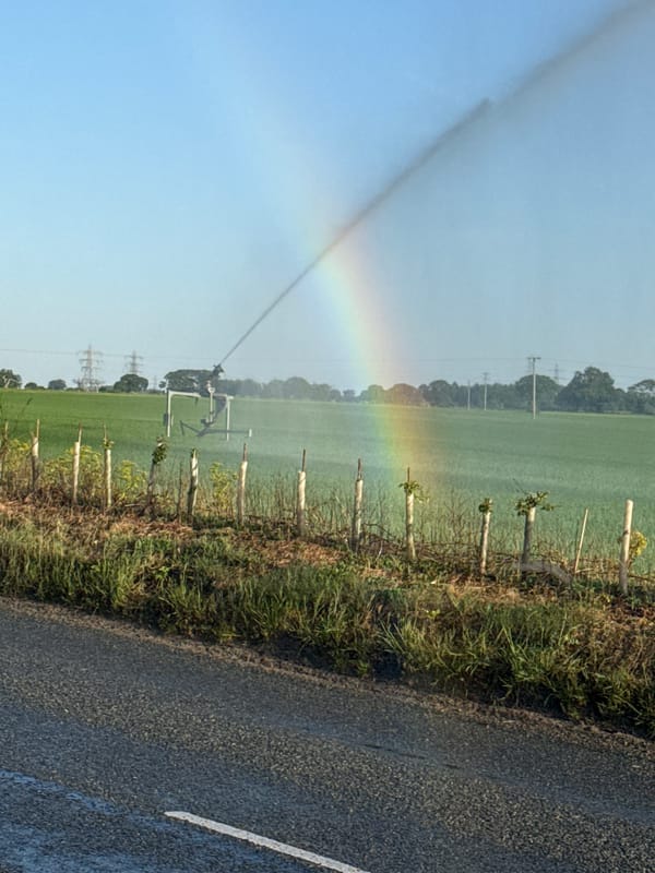 Irrigation sprinklers create rainbows over Great Yarmouth farmland