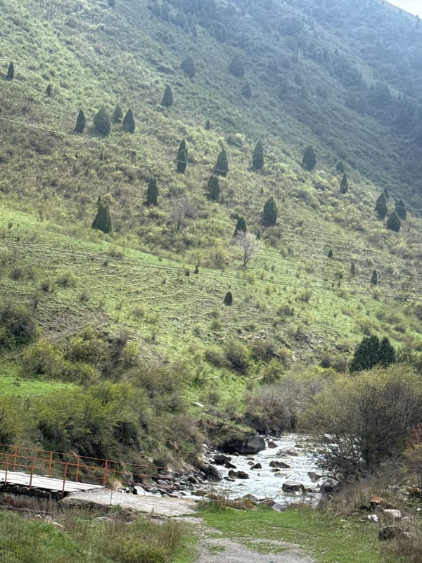 Verdant mountain landscape documented in rural Kashka Suu, Kyrgyzstan