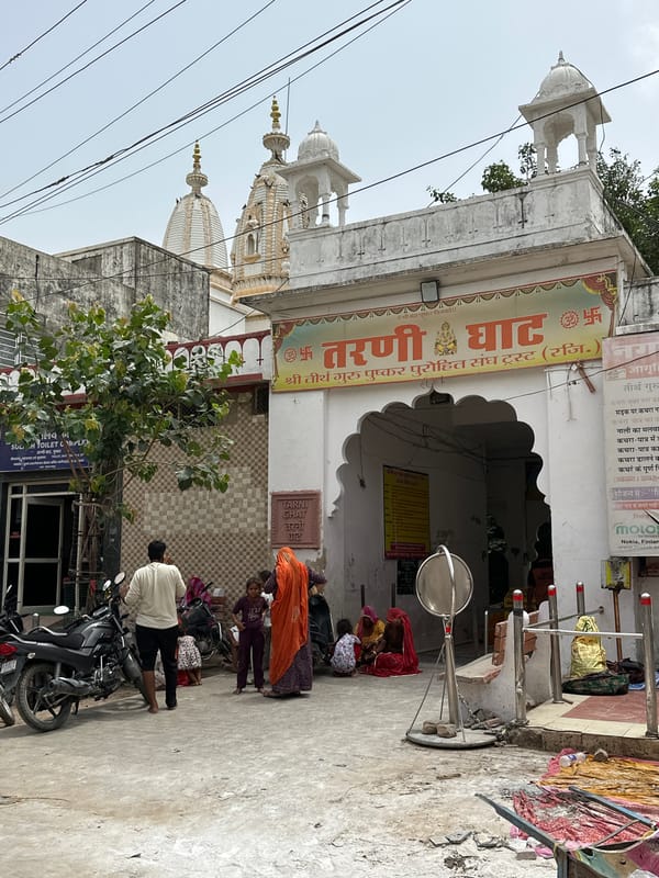 Pushkar bazaar in motion — cows, markets, and temple streets