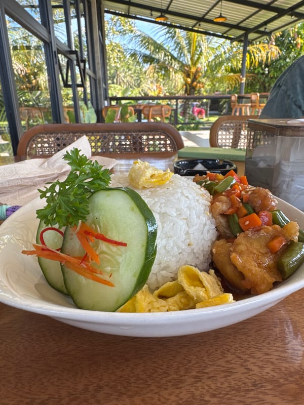 Rural life documented across Tampaksiring, Indonesia in early morning