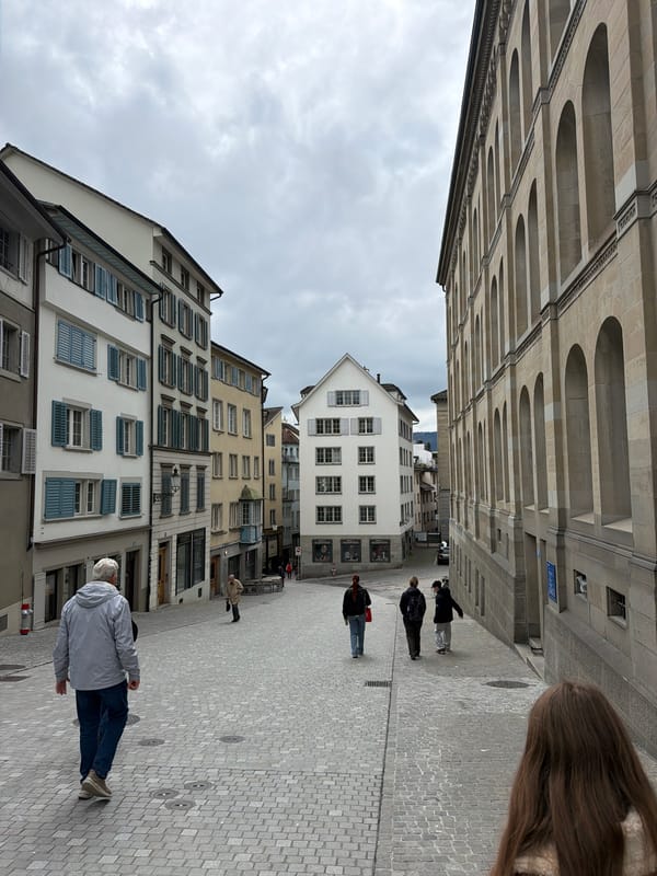 Afternoon scenes documented across central Zurich neighborhoods