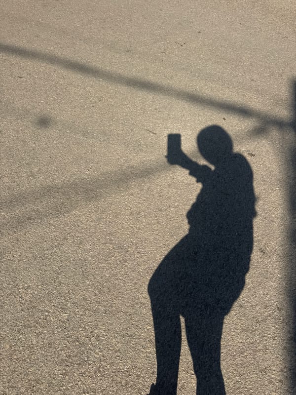 Person with phone observed on Lehchevo street