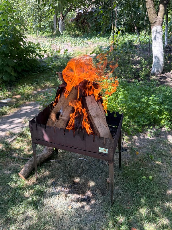 Wood fire burning in a backyard grill in Polonne