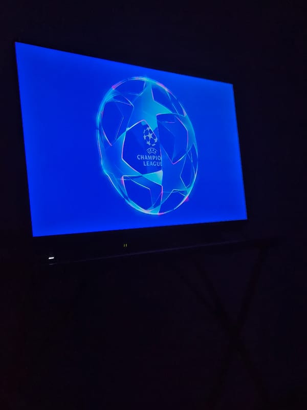 Dogs and cats spotted resting in Barcelos streets