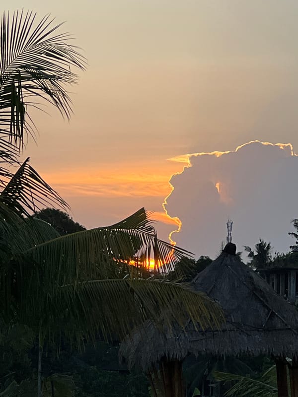 Evening scenes captured across Ubud, Indonesia during sunset hour