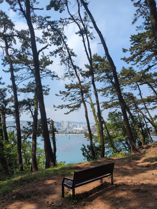 Early morning coastal overlook scene documented in Ulsan