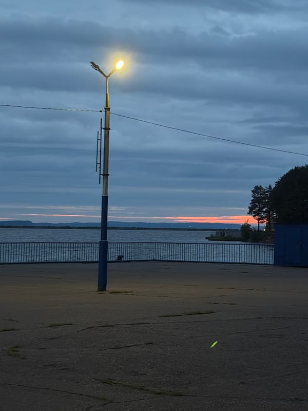 Evening waterfront scenes captured by witnesses include selfies, music performance