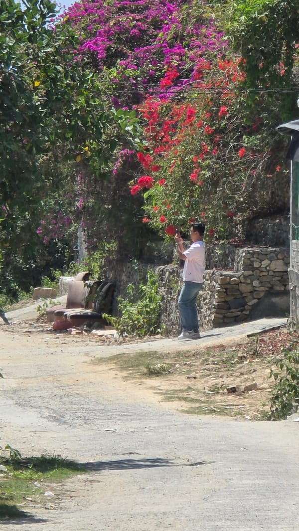 Man photographs nature at Vietnamese heritage area walkway