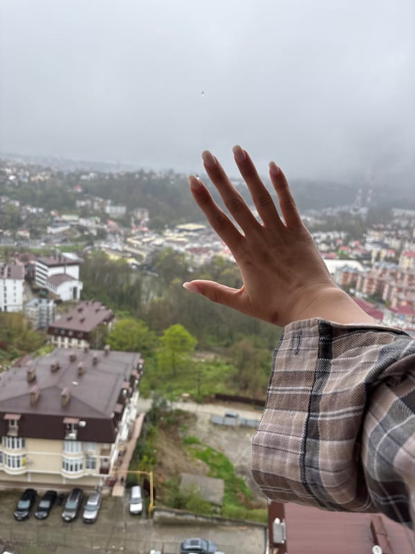 Morning fog blankets Sochi cityscape in elevated photos