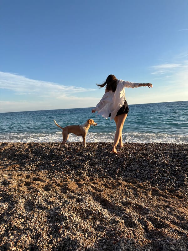 Pebble beach, graffiti ruins, and a golden Adriatic sunset in Montenegro