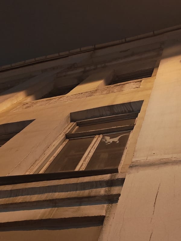 Vladivostok at night: murals, streets, and storefront wit