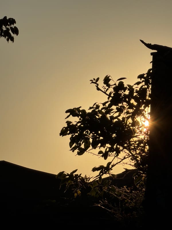Sunset photography session captured in downtown Tbilisi