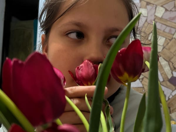 Spring tulip portraits captured in Russian household moments