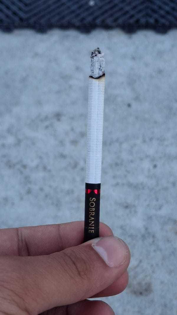 Vehicle sightings and daily activities documented in Varna, Bulgaria