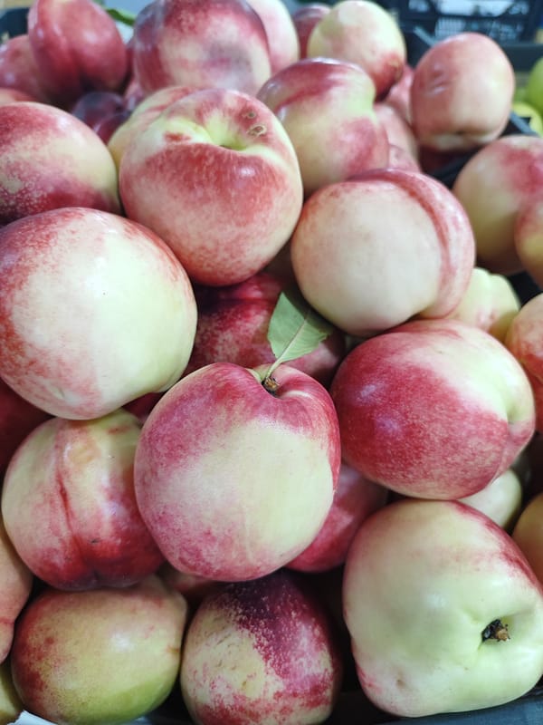 Overhead close-ups of a colorful fresh fruit spread
