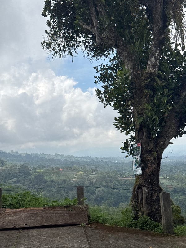 Roadside Documentation of Terraced Mountain Valley Scene