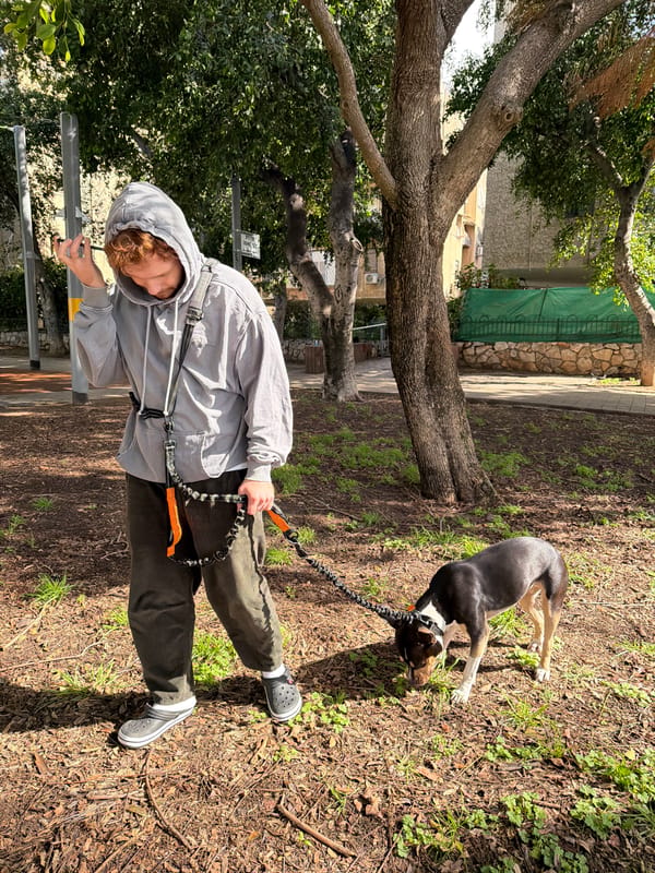 Dog walker enjoys afternoon stroll in Tel Aviv park