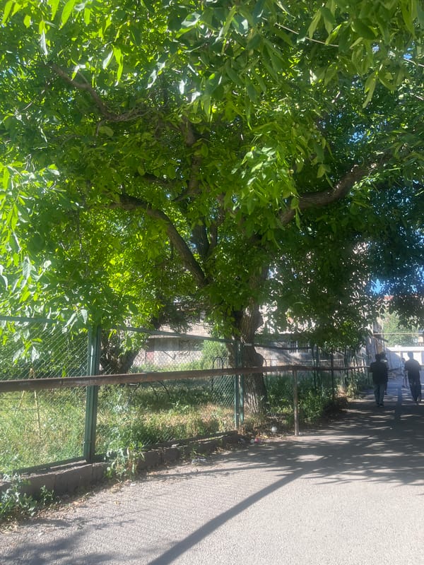Street-level scenes from Gladzor, Armenia on a sunny afternoon