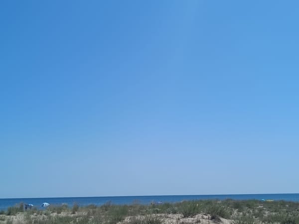 Quiet coastal morning: beaches, open water, and roadside scenes