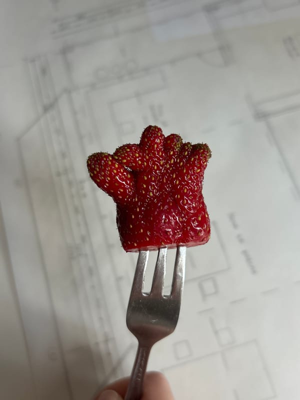 Deformed strawberries documented on architect's desk in Plovdiv