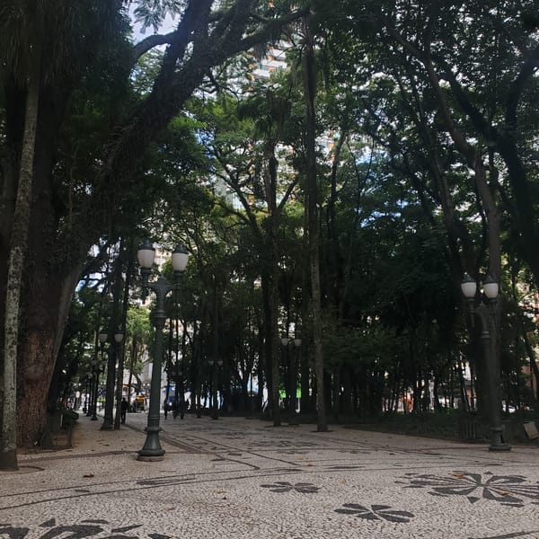 Witness documents Curitiba scenes including overturned vehicles, construction, park