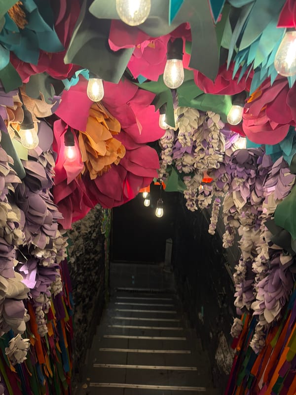 Mexican-themed restaurant visit captured in Rostov-on-Don