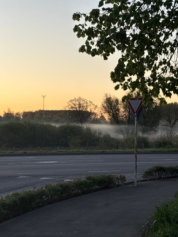 Misty dawn conditions observed on Esch-sur-Alzette roadway
