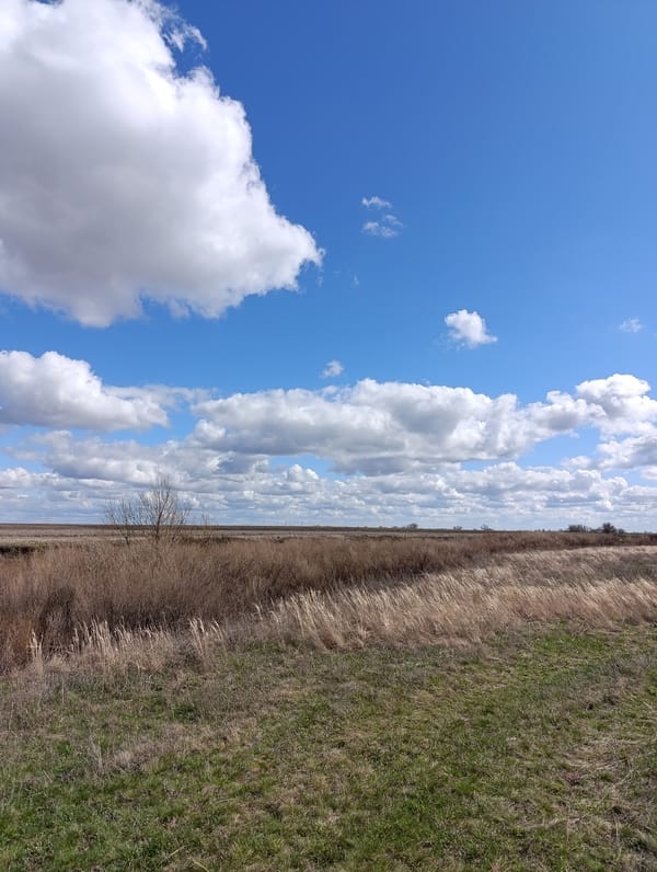 Rural landscape documented in Usov, Russia under cloudy skies