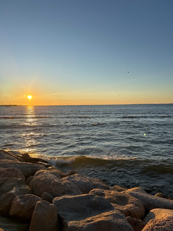 Tallinn's Baltic shore at midsummer sunset, parks included