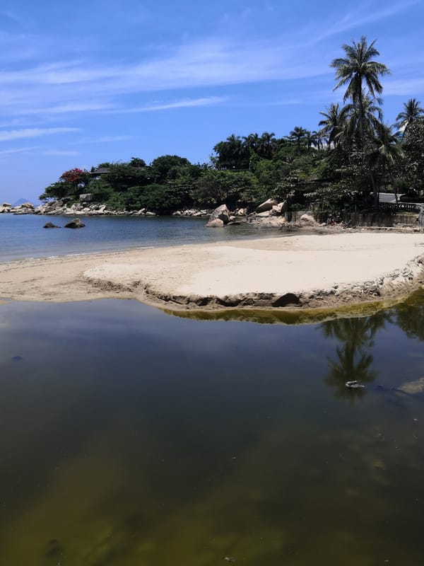Morning coastal scenes documented in Bac Nha Trang Ward, Vietnam