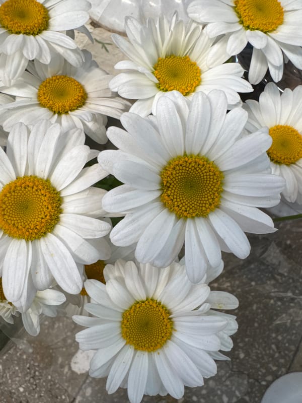 Browsing a well-stocked Almaty flower stall, bloom by bloom